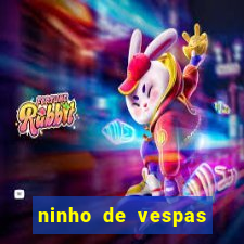 ninho de vespas significado espiritual